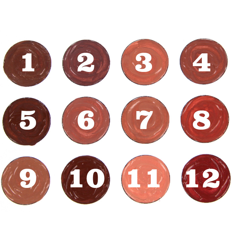 12-Colors-Sexy-Nude-Matte-Velvet-Lip-Gloss-Lip-Makeup-Beauty-Waterproof-Long-Lasting-1283823