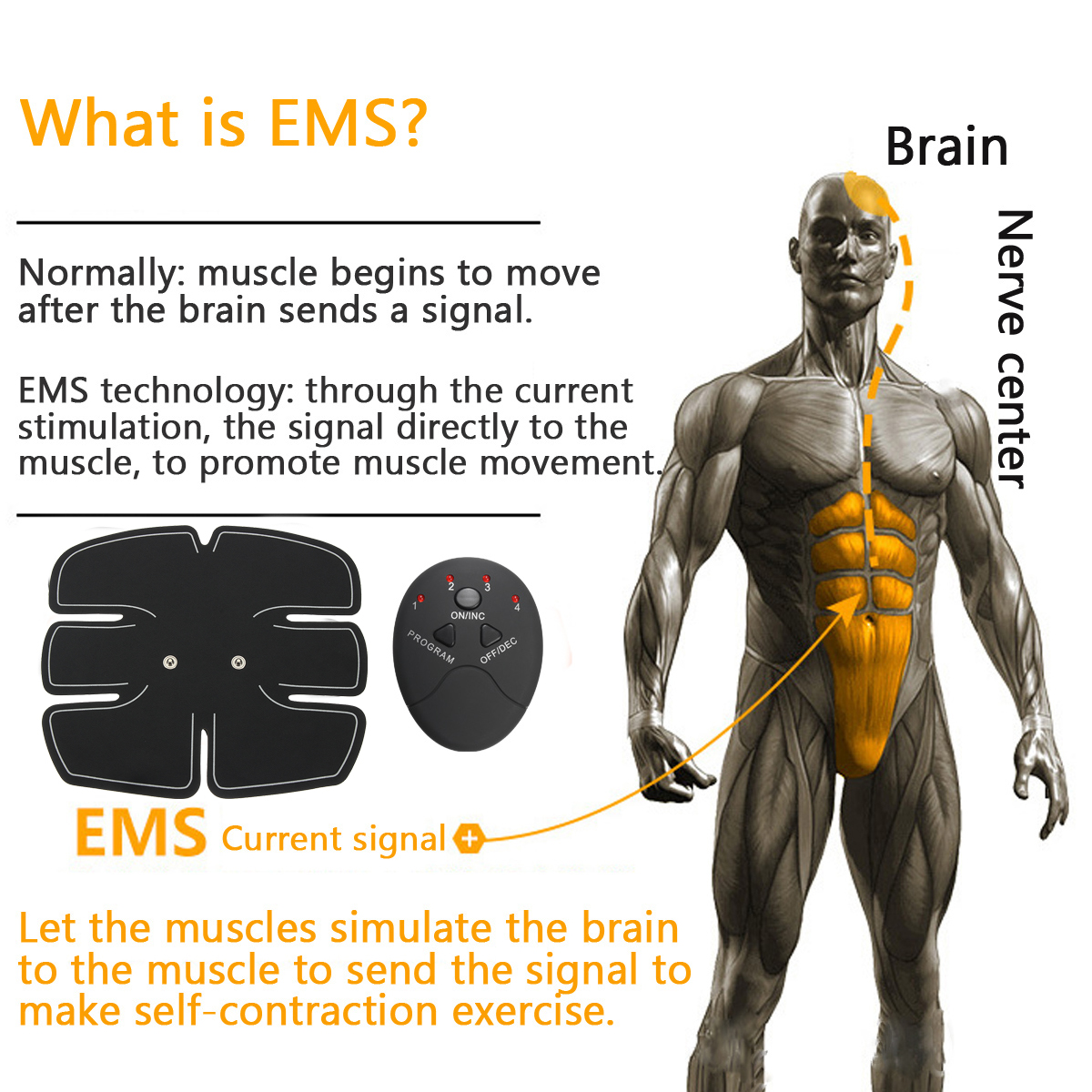 Abdomen-Muscle-Stimulator-EMS-Training-Electrical-Body-Shape-Home-Trainer-Abs-Squishies-Squishy-Stic-1192776