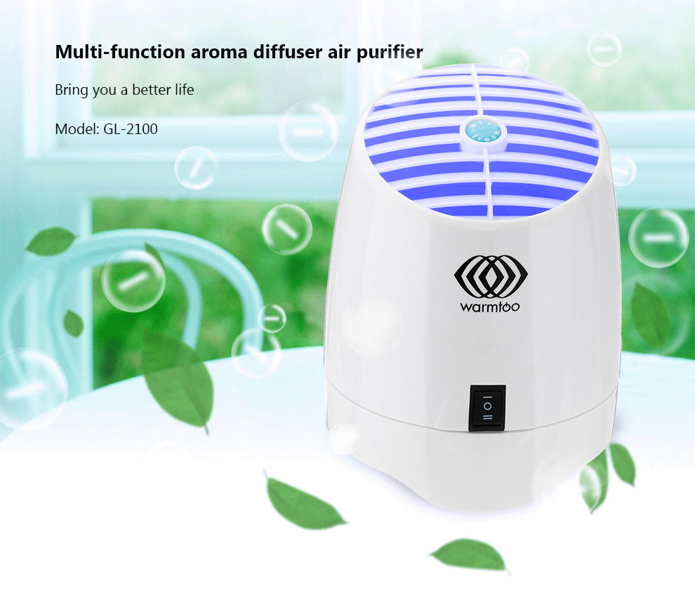 Air-Purifier-Aromatherapy-Anion-Indoor-Mini-Formaldehyde-Ozone-Generator-and-Lonizer-1265698