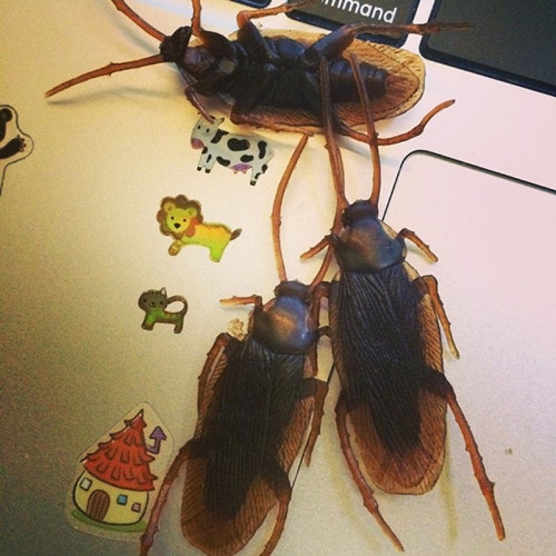 1pc-Prank-Funny-Trick-Joke-Toys-Lifelike-Model-Simulation-Fake-Cockroach-Kids-Children-Magic-Props-1227578