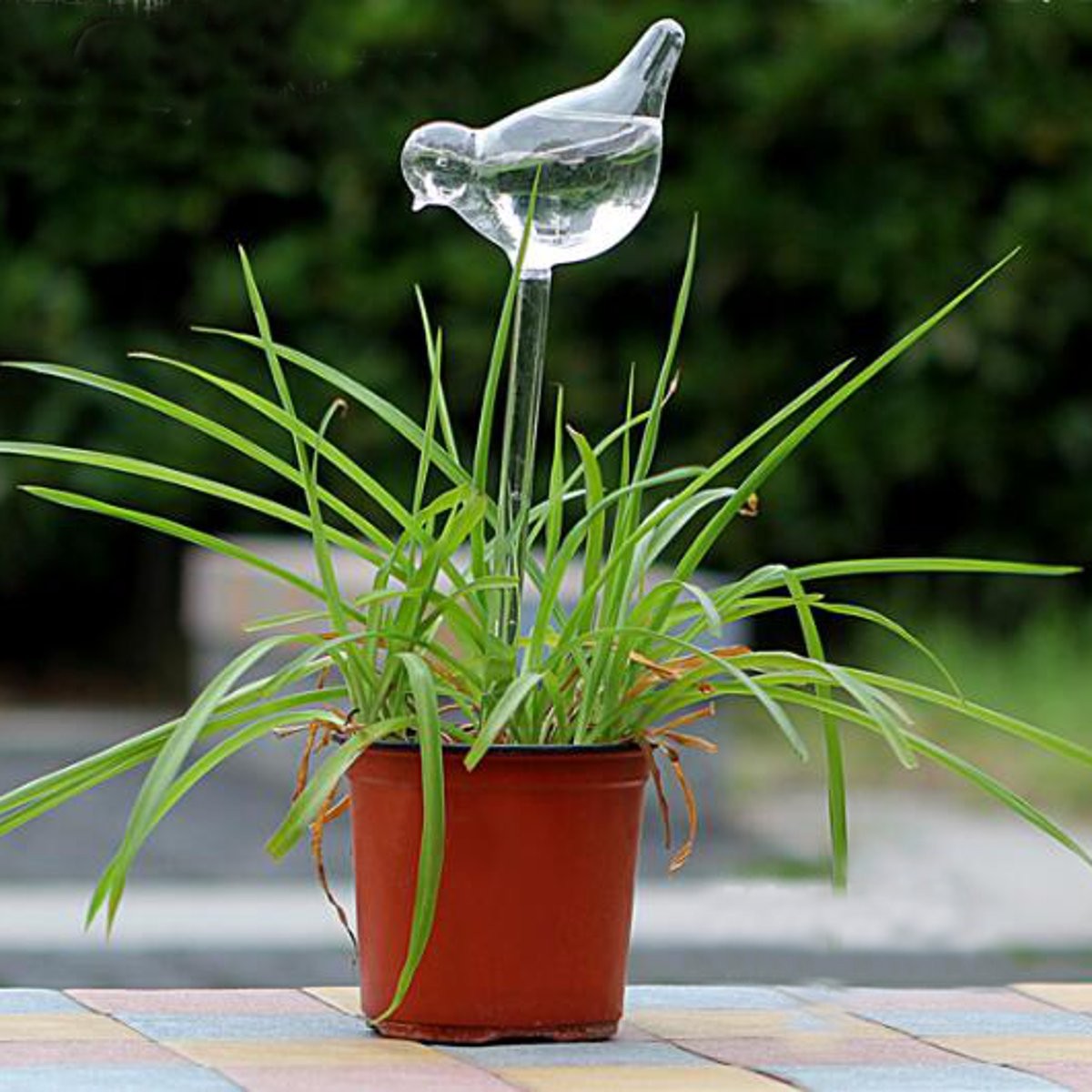 Bird-Shaped-Glass-Plant-Flower-Holiday-Watering-Spike-Stake-Water-Feeder-1077812