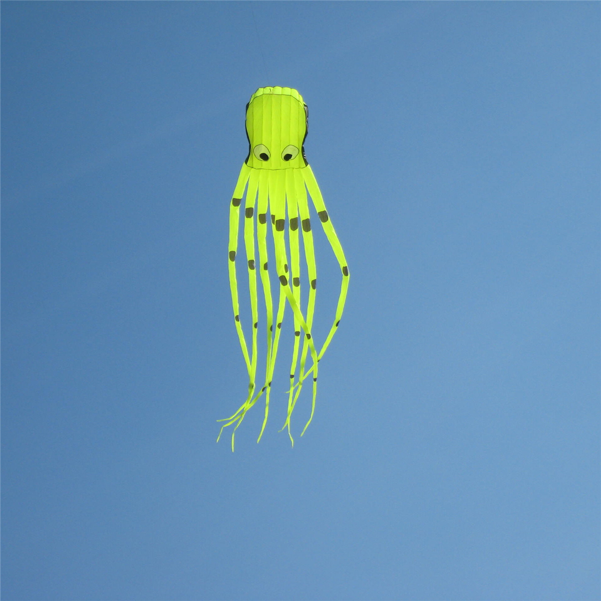 35Inches-Octopus-Kite-Outdoor-Sports-Toys-For-Kids-Single-Line-Parachute-Toys-1378526
