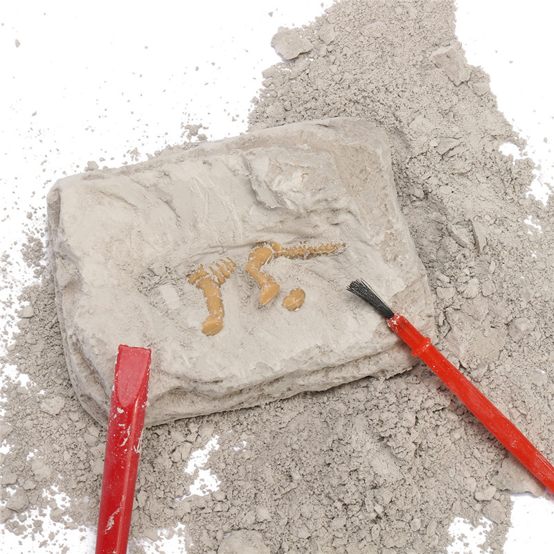 Dinosaur-Fossils-Excavation-Kit-Archaeology-Dig-Up-History-Skeleton-Fun-Kids-Gift-Toys-1202216