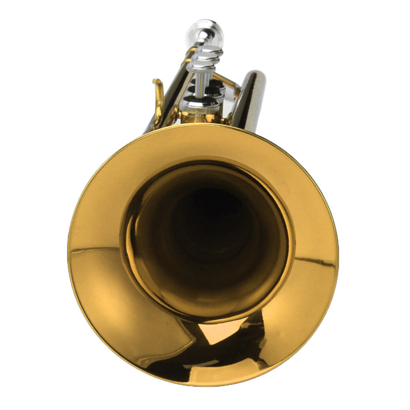 Bb-Beginner-Trumpet-Brass-Band-Gold-Plated-Care-Kit-Case-in-Gold-Silver-Red-Blue-Black-1218517