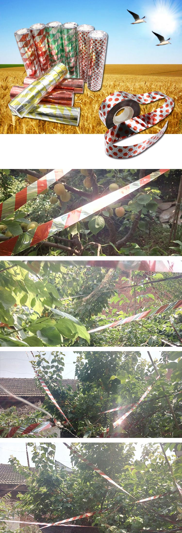 80m-Polyester-Film-Bird-Scare-Tape-Garden-Orchard-Birds-Repellent-Ribbon-1063502