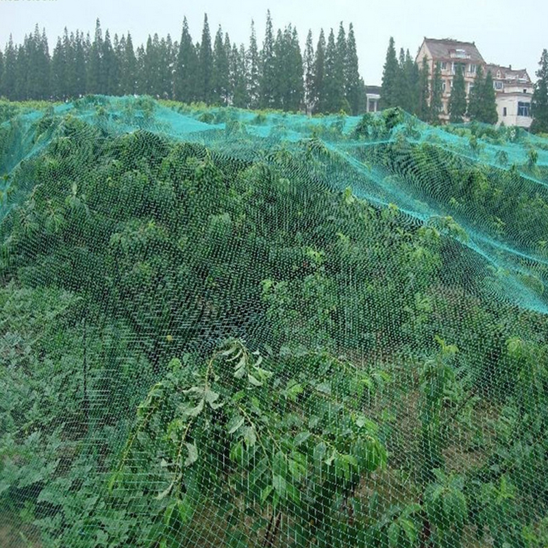 Household-Fruit-Crop-Plants-Anti-Bird-Net-Garden-Tree-Protect-Mesh-Pond-Netting-2m-x-5m-1316549