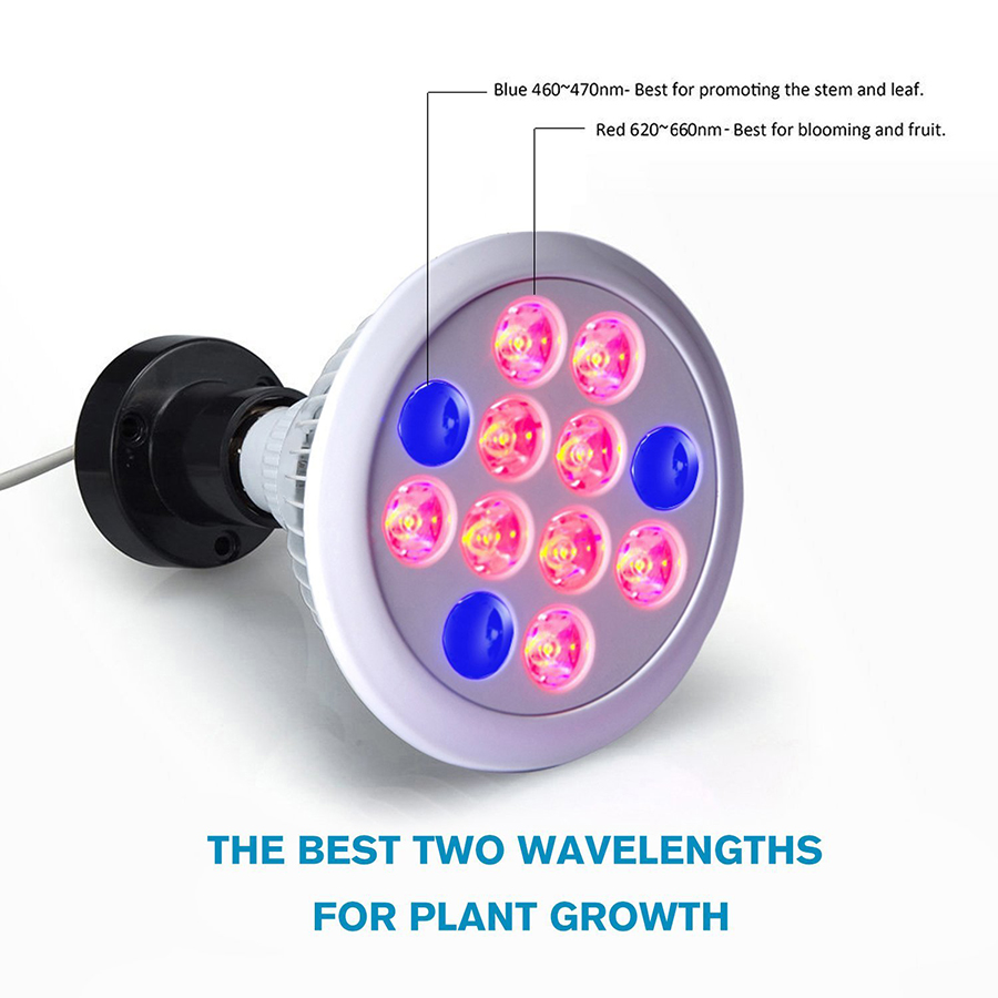 12W-24W-36W-Led-Grow-Light-Full-Spectrum-12-PCS-LED-Growth-Lamp-Ultra-Bulb-For-Plants-All-Stages-1232132
