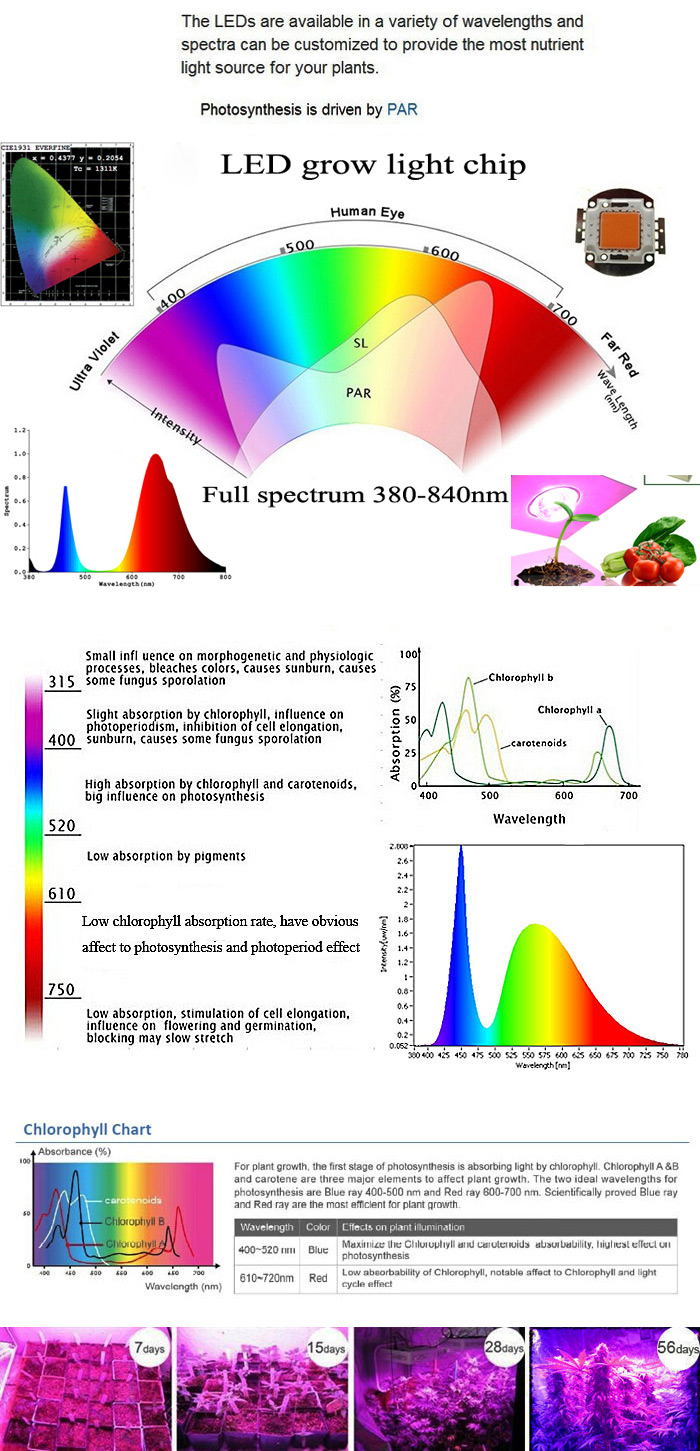 15W-E27-90-Red-36-Blue-Garden-Plant-Growth-LED-Bulb-Greenhouse-Plant-Flower-Seedling-Light-1030100