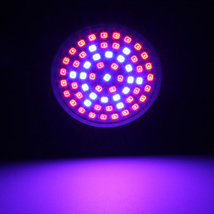 3W-E27-41-Red-19-Blue-LED-Grow-Light-Plant-Lamp-Bulb-Garden-Greenhouse-Plant-Seedling-Light-1074829