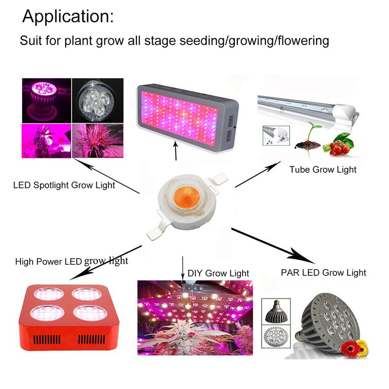 5pcs-ZX-3W-Full-Spectrum-Plant-Growing-DIY-LED-Lamp-Chip-Garden-Greenhouse-Seedling-Lights-1100886