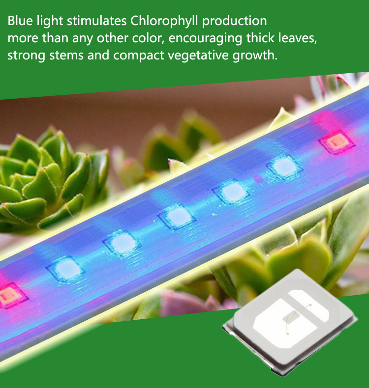 ZX-10pcs-02W-SMD2835-Blue-Light-Plant-Growing-DIY-LED-Lamp-Chip-Garden-Greenhouse-Seedling-Lights-1093065