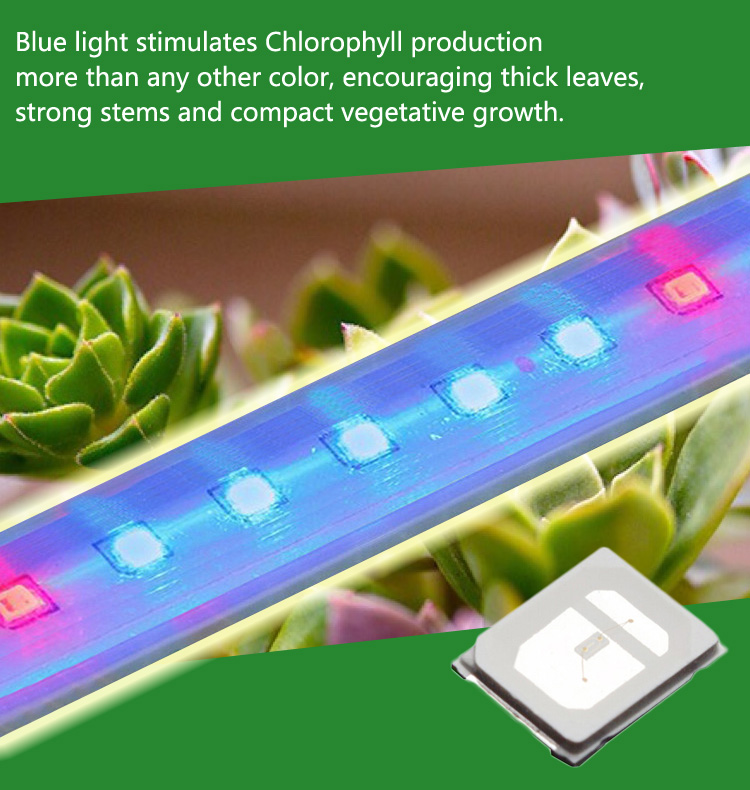 ZX-30pcs-02W-SMD2835-Blue-Light-Plant-Grow-DIY-LED-Lamp-Chip-Garden-Greenhouse-Seedling-Lights-1093067