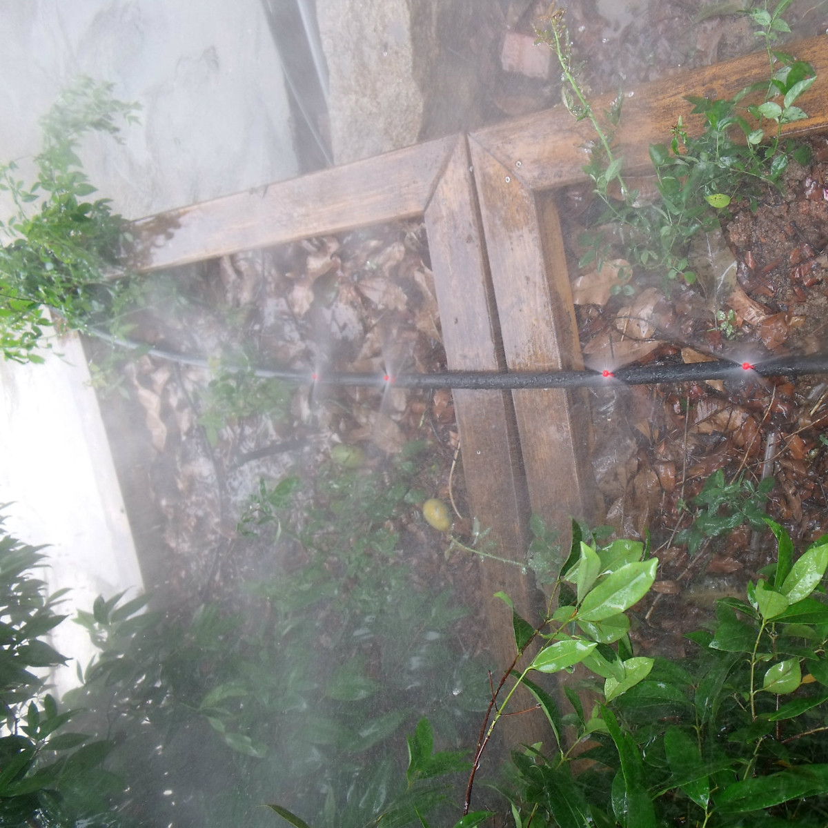 50Pcs-Micro-Garden-Lawn-Water-Spray-Misting-Nozzle-Sprinkler-Irrigation-System-1344634
