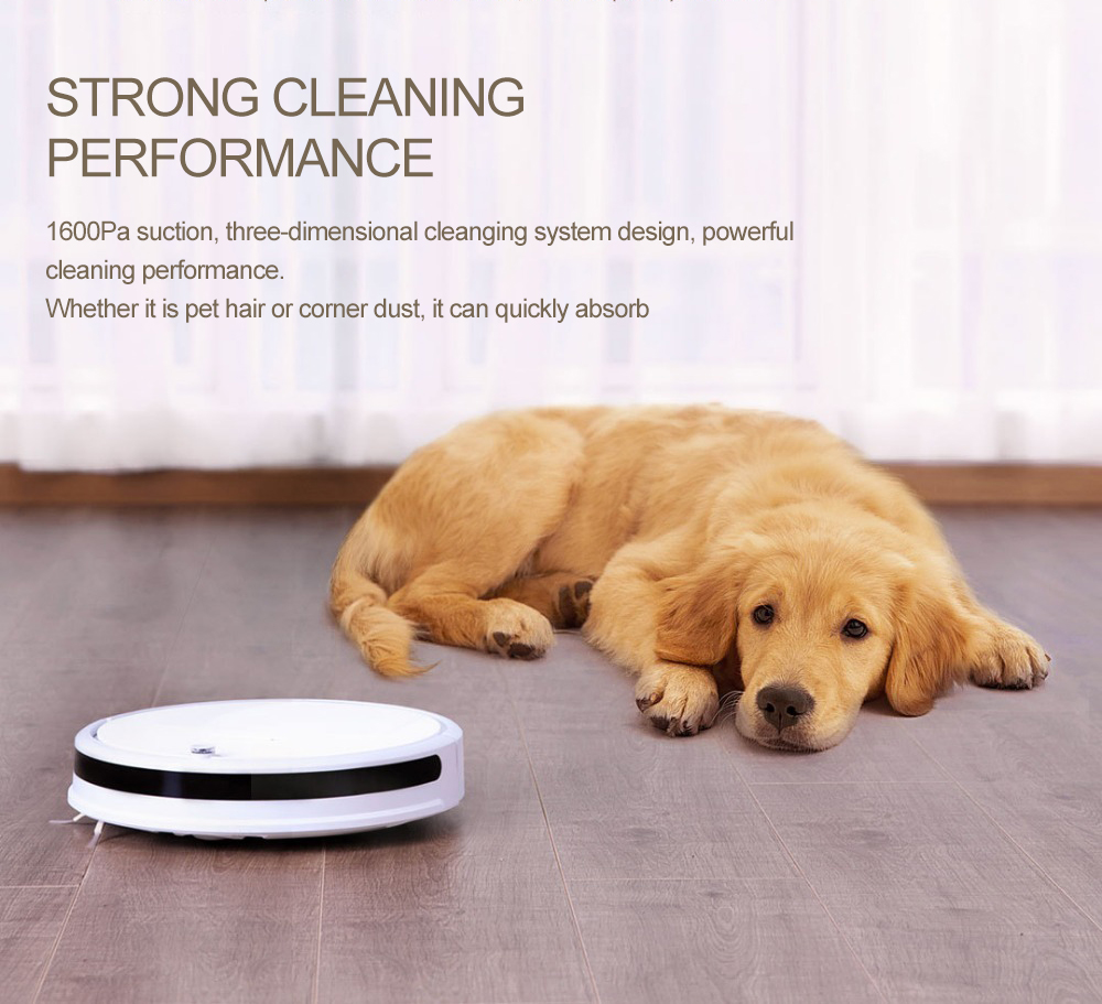 Roborock-Xiaowa-lite-C102-00-Smart-Robot-Vacuum-Cleaner-1600Pa-2600mAh-with-APP-Control-1269463