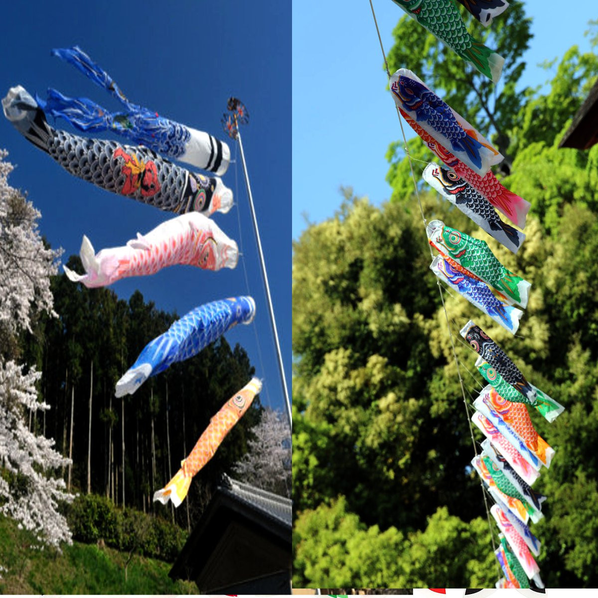 1-Set-5Pcs-Japanese-Carp-Flag-Carp-Banners-Windsock-Sailfish-Koinobori-Wind-Streamer-Multicolor-Fish-1029788