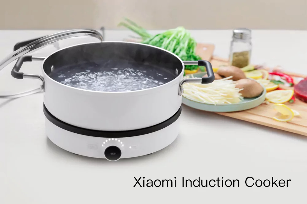 Xiaomi-Mijia-DCL01CM-Dual-Frequency-Firepower-Precise-Control-Induction-Cooker-1246293