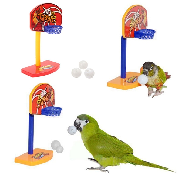 3Pcs-Pet-Birds-Chew-Parakeet-Bell-Balls-Parrot-Toys-Birdie-Basketball-Hoop-Prop-1075547
