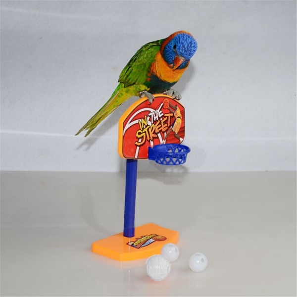 3Pcs-Pet-Birds-Chew-Parakeet-Bell-Balls-Parrot-Toys-Birdie-Basketball-Hoop-Prop-1075547