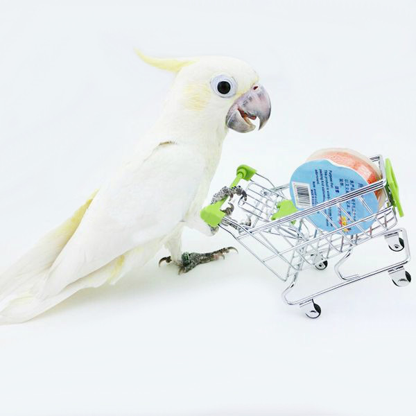 Parrot-Toy-Bird-Supermarket-Shopping-Cart-Kids-Growth-Box-945371