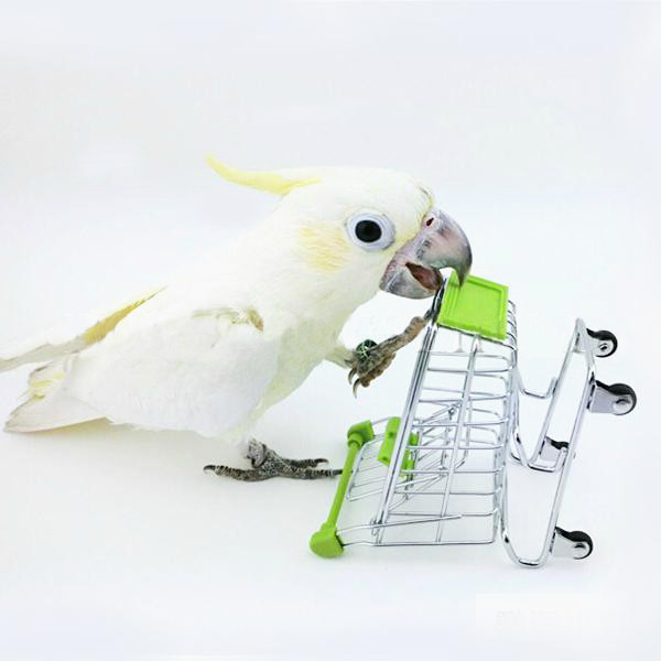 Parrot-Toy-Bird-Supermarket-Shopping-Cart-Kids-Growth-Box-945371