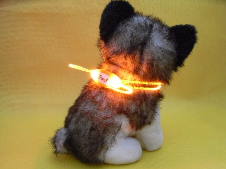 Colorful-LED-Pet-Dog-Collar-Chain-Luminous-Light-LED-Dog-Cat-Night-Light-Collar-1128247