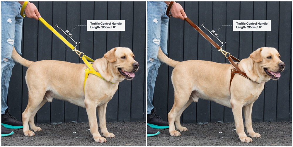Double-Handle-Dog-Leash-Dual-Handle-Heavy-Duty-Soft-Padded-Reflective-Nylon-Dog-Traction-Rope-1293658