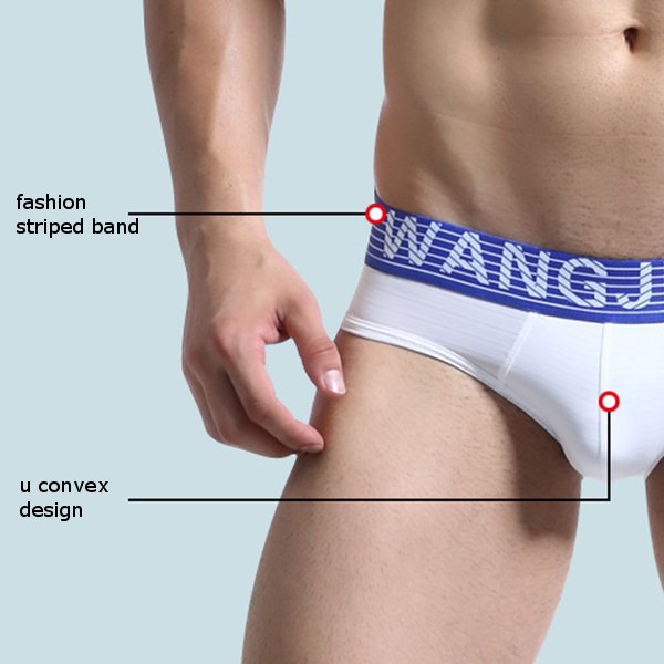 WANGJIANG-Mens-Sexy-Breathable-Super-Thin-U-Convex-Pouch-Ice-Silk-Briefs-Underwear-1163780
