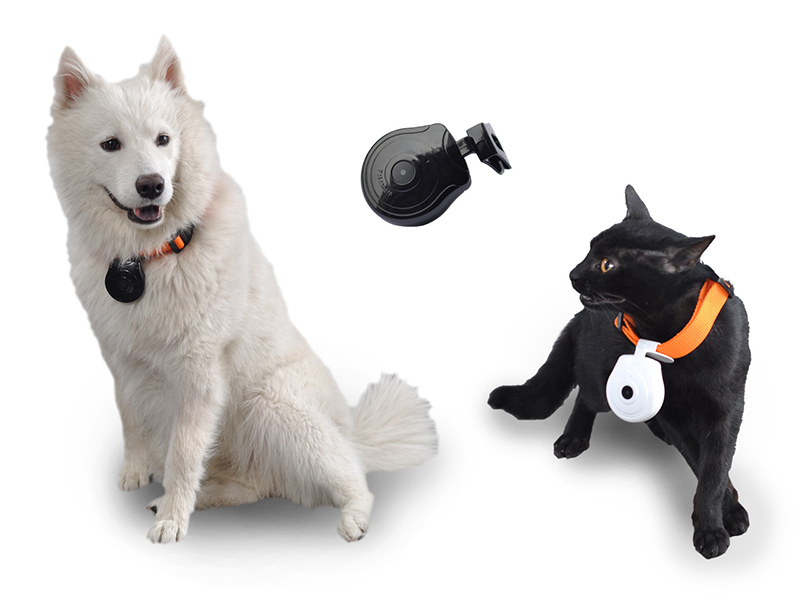 480P-Black-Dog-Cat-Puppy-Pet-Mini-Camera-Outdoor-Sport-Video-Recorder-Camcorder-1265105