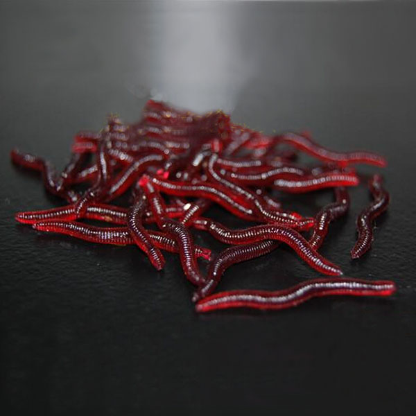 10pc-Soft-EarthWorm-Fishing-Lures-Silicone-Red-Worms-Bait-Plastic-936260