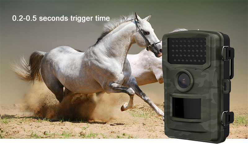 DL-1-24quot-Screen-Full-HD-12MP-1080P-Night-Vision-Camera-IP54-Waterproof-Trap-Hunting-Camera-1398794