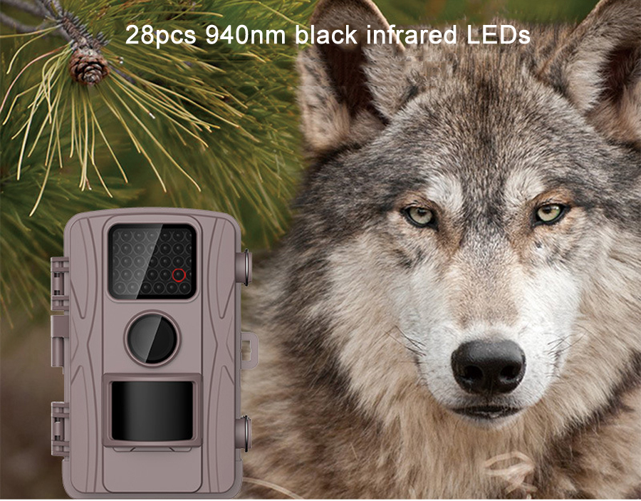 DL-5-20quot-Screen-Full-HD-12MP-720P-Night-Vision-Camera-IP66-Waterproof-Trap-Scouting-Hunting-Camer-1398792
