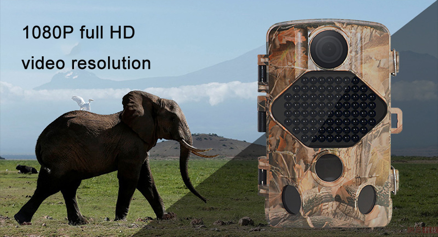 DL-502-24quot-Screen-Full-HD-14MP-1080P-Night-Vision-Camera-IP66-Waterproof-Trap-Hunting-Camera-1398793