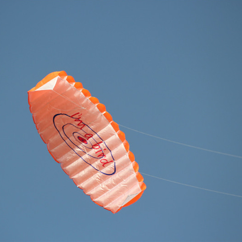 14m-Power-Double-Line-Software-Kite-Dual-Line-Handle-Stunt-Kite-Parafoil-Parachute-Beach-Surfing-Out-1327945