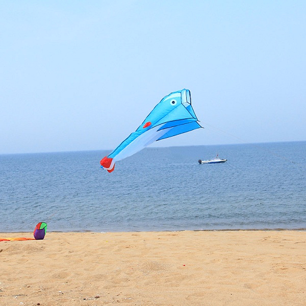 3D-Huge-Soft-Parafoil-Blue-Dolphin-Kite-Outdoor-Sport-Entertainment-Kite-Frameless-1044591