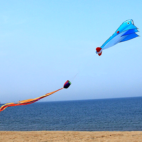 3D-Huge-Soft-Parafoil-Blue-Dolphin-Kite-Outdoor-Sport-Entertainment-Kite-Frameless-1044591