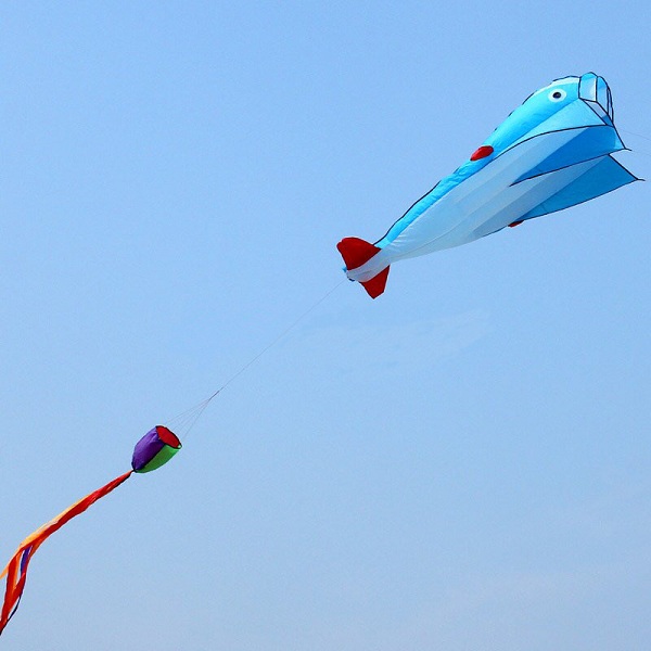 3D-Huge-Soft-Parafoil-Blue-Dolphin-Kite-Outdoor-Sport-Entertainment-Kite-Frameless-1044591