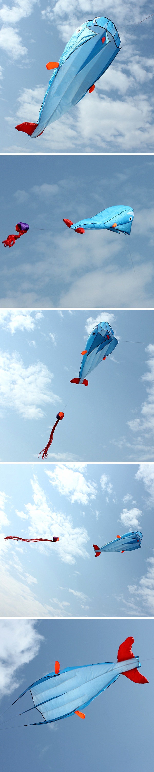 3D-Huge-Soft-Parafoil-Blue-Dolphin-Kite-Outdoor-Sport-Entertainment-Kite-Frameless-1044591