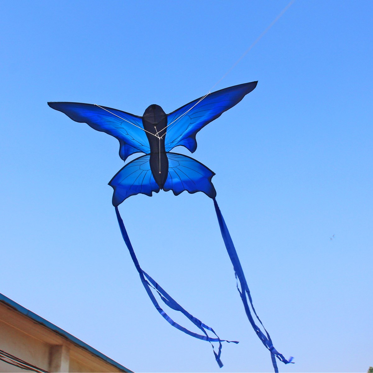 70x150cm-Blue-Beautiful-Butterfly-Kite-Outdoor-Fun-Sports-Flying-Toy-With-30M-Control-Bar-and-Line-1369720