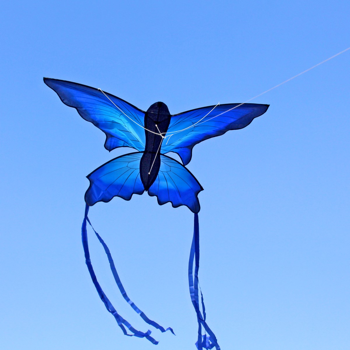 70x150cm-Blue-Beautiful-Butterfly-Kite-Outdoor-Fun-Sports-Flying-Toy-With-30M-Control-Bar-and-Line-1369720