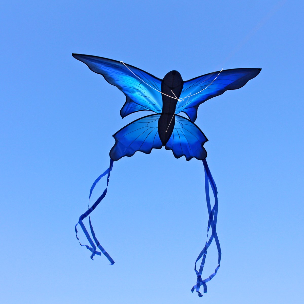 70x150cm-Blue-Beautiful-Butterfly-Kite-Outdoor-Fun-Sports-Flying-Toy-With-30M-Control-Bar-and-Line-1369720