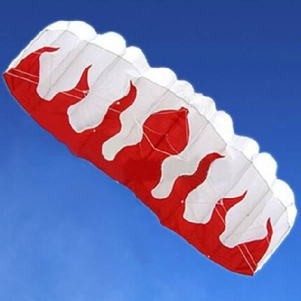 Braided-Line-Soft-plus-material-Parachute-Flame-Sports-Beach-Kite-944525