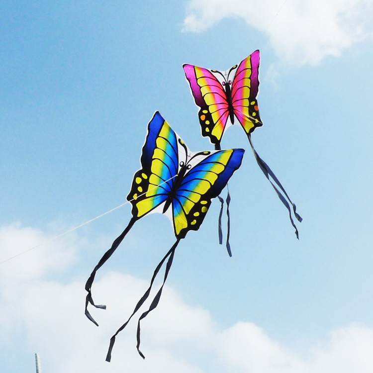 Butterfly-Kite-Children-Toy-Outskirts-Funny-Game-Easy-Control--Brid-Eagle-Kite-1088083