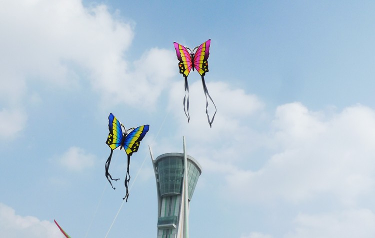 Butterfly-Kite-Children-Toy-Outskirts-Funny-Game-Easy-Control--Brid-Eagle-Kite-1088083