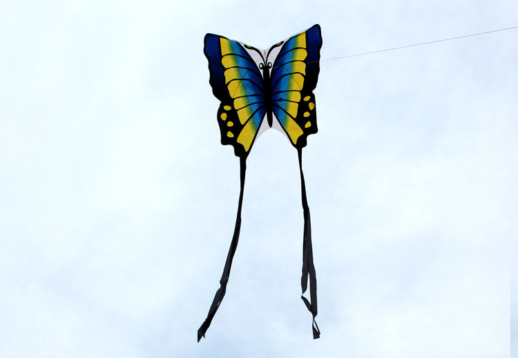 Butterfly-Kite-Children-Toy-Outskirts-Funny-Game-Easy-Control--Brid-Eagle-Kite-1088083