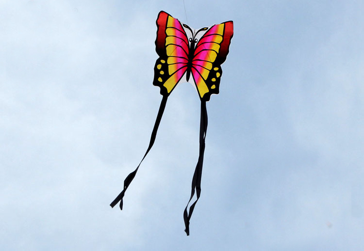Butterfly-Kite-Children-Toy-Outskirts-Funny-Game-Easy-Control--Brid-Eagle-Kite-1088083
