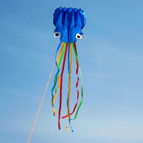 Portable-Colorful-Octopus-Soft-Outdoor-Sport-Flying-Kite-55m-938237