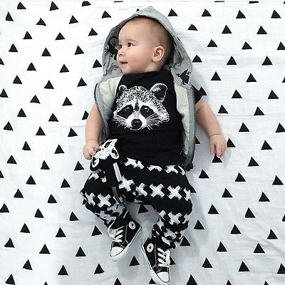 2Pcs-New-Toddler-Baby-Boys-Fox-T-shirts-Long-Pants-Leggings-Outfits-Clothing-Set-Costume-1048673