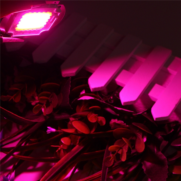 10W-20W-30W-50W-100W-380NM-840NM-Full-Spectrum-High-Power-LED-Chip-Grow-Light-1126023