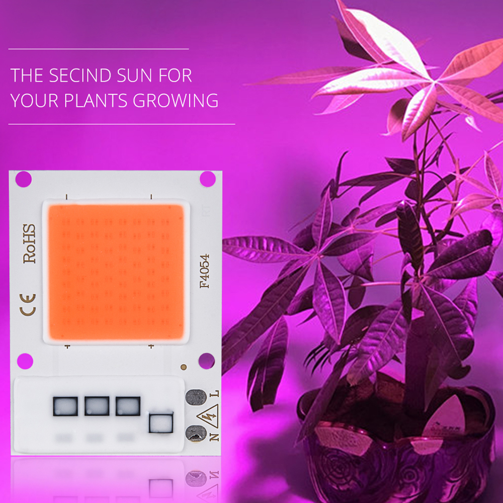 10W-20W-30W-Full-Spectrum-380-840NM-Plant-Grow-Light-LED-COB-Chip-for-Vegetable-Flower-AC180-265V-1354883