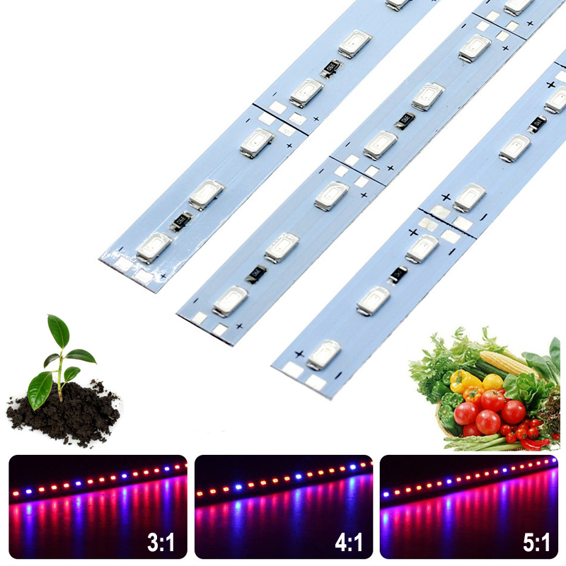 10PCS-50CM-SMD5630-RedBlue-31-41-51-LED-Grow-Rigid-Bar-Strip-for-Hydroponics-Greenhouse-DC12V-1242353